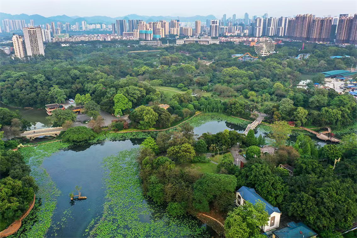 1644141865777233921.png 1644141865777233921.png