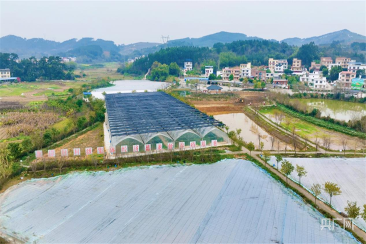 1644143038450106369.png 1644143038450106369.png