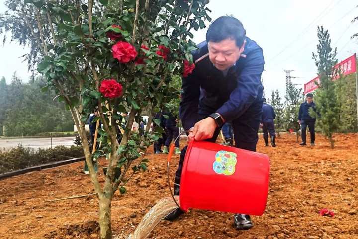 1899995087849439233.jpg 1899995087849439233.jpg